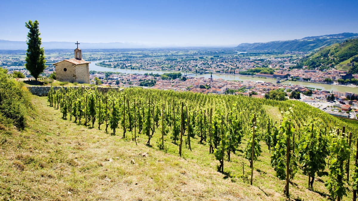 Duo de l'Hermitage - Tain-l'Hermitage