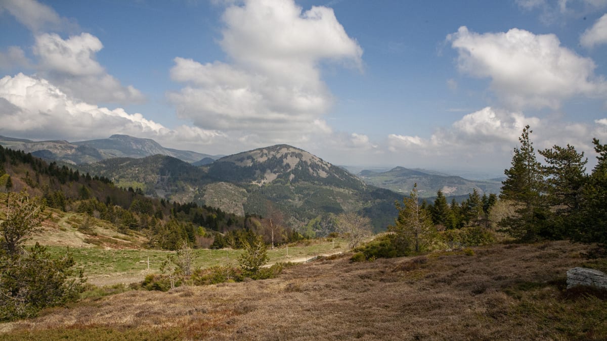 Trail des Sucs - Yssingeaux