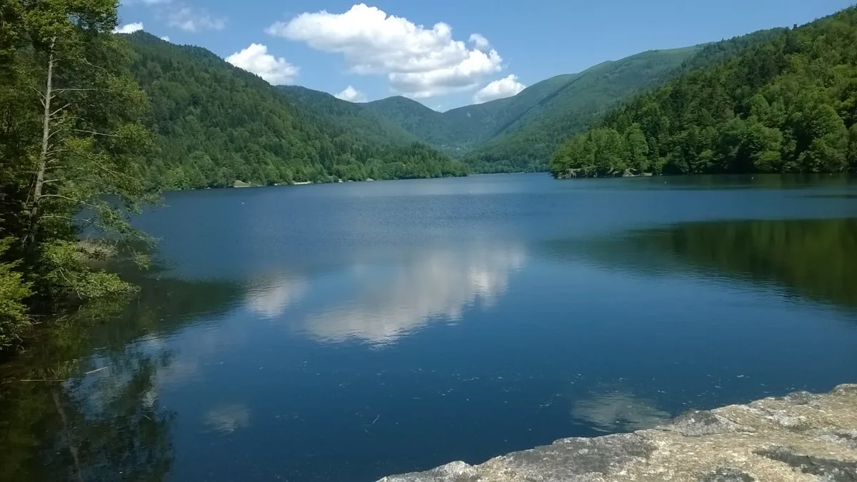 Courses du Lac de Kruth - Kruth