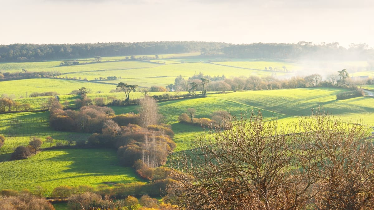 Courses du Pays Glazik - Briec