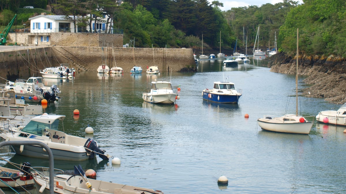 Moëlan Sur Trail - Moëlan-sur-Mer