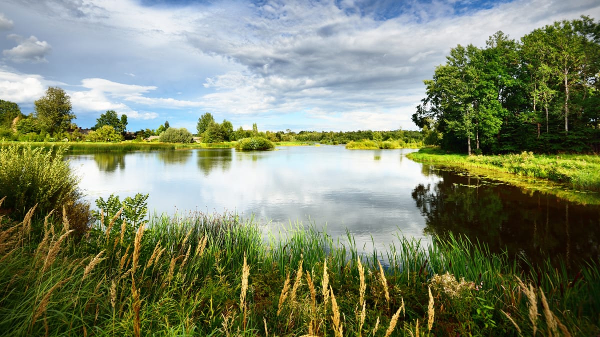 Course Nature Argentré - Argentré-du-Plessis