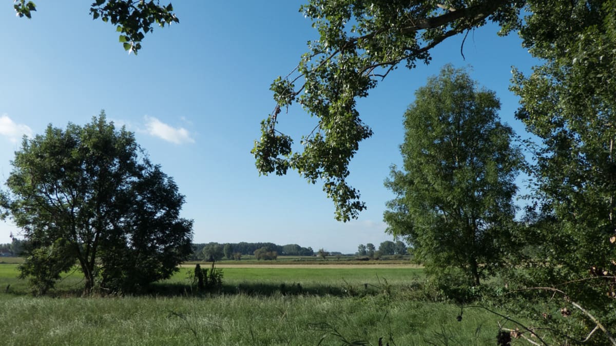 Farm Trail - Saint-Georges-de-Reintembault