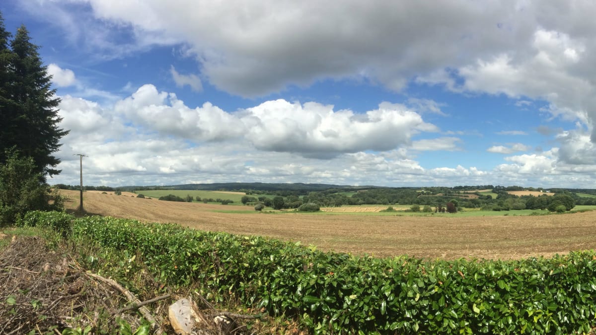 Brevelaise - Saint-Jean-Brévelay