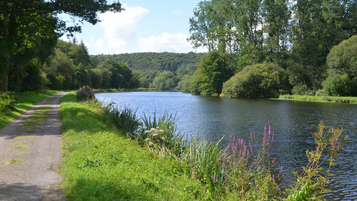 Trail des 3 clochers - Plumergat