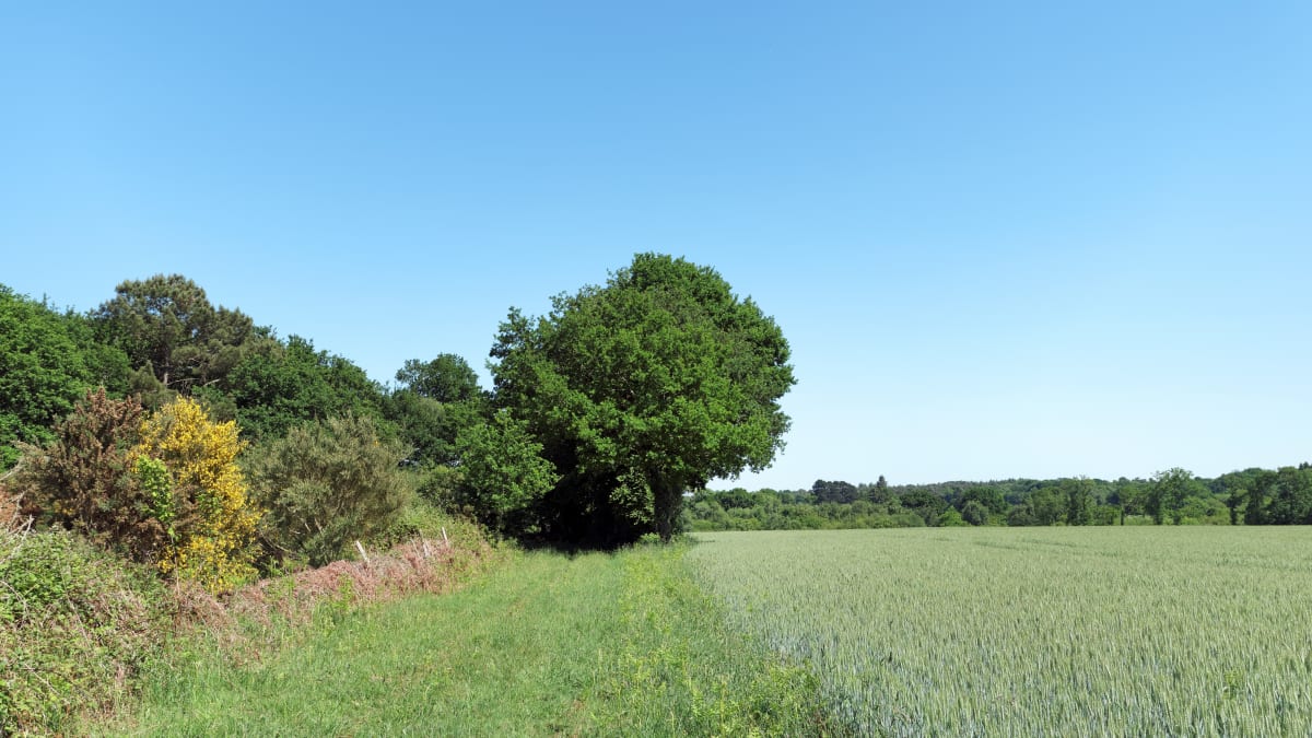Trail le Grand Huit - Caden