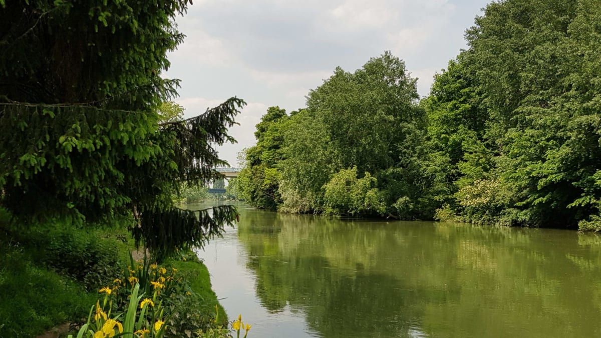 10 km de Saint-Dizier - Saint-Dizier