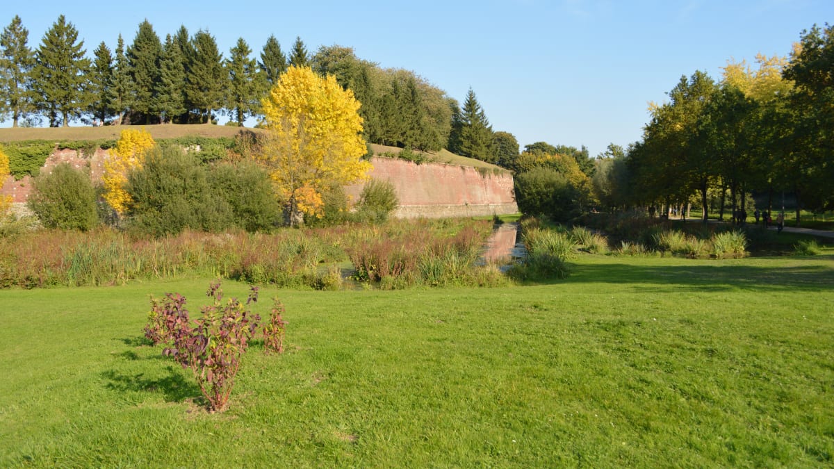 Trail du Val Joly - Eppe-Sauvage