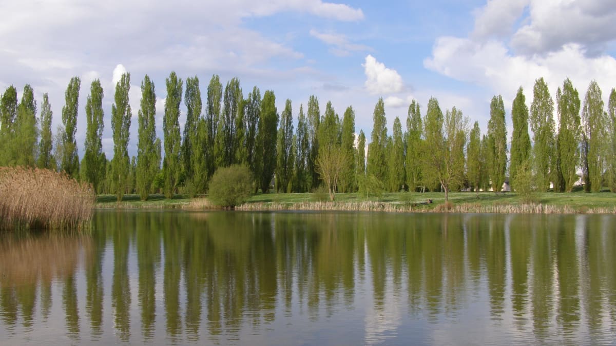 Le Feu au Lac - Châtellerault