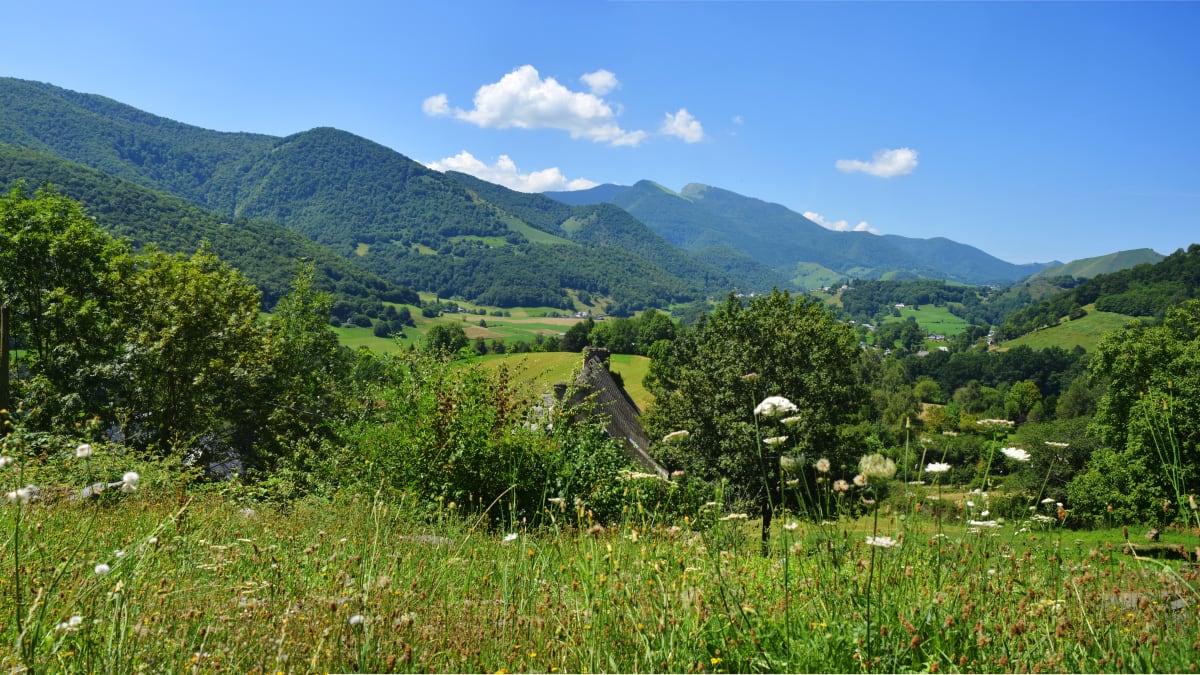 Trail du Pacte des Loups - Esparros