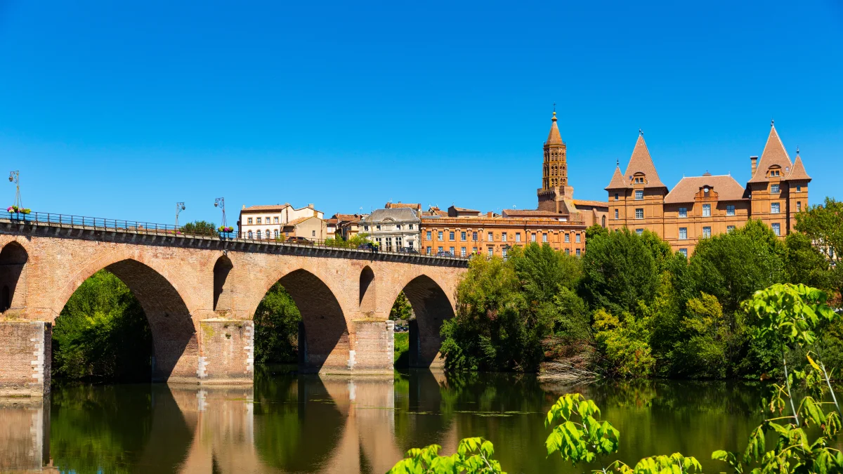 Course du Muguet - Montauban - Montauban