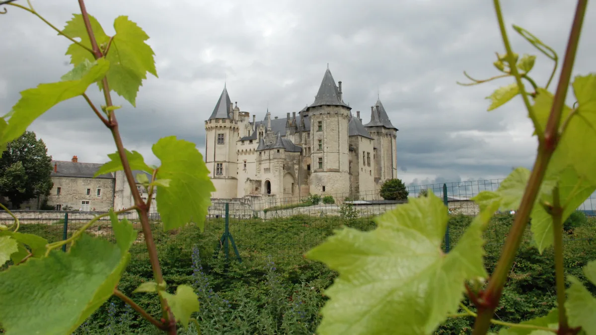 Run & Bike des Vignes - Saumur