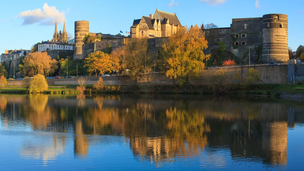 Tout Angers Bouge - Angers