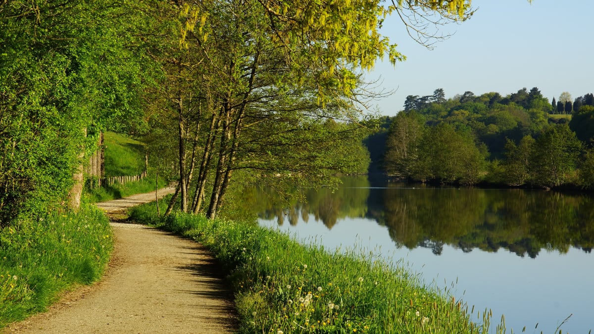 Trail des Ragondins - Cantenay-Épinard