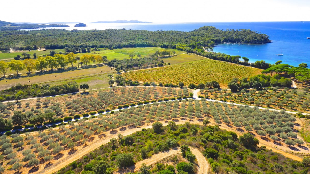 Le Défi des Vignes - La Londe-les-Maures