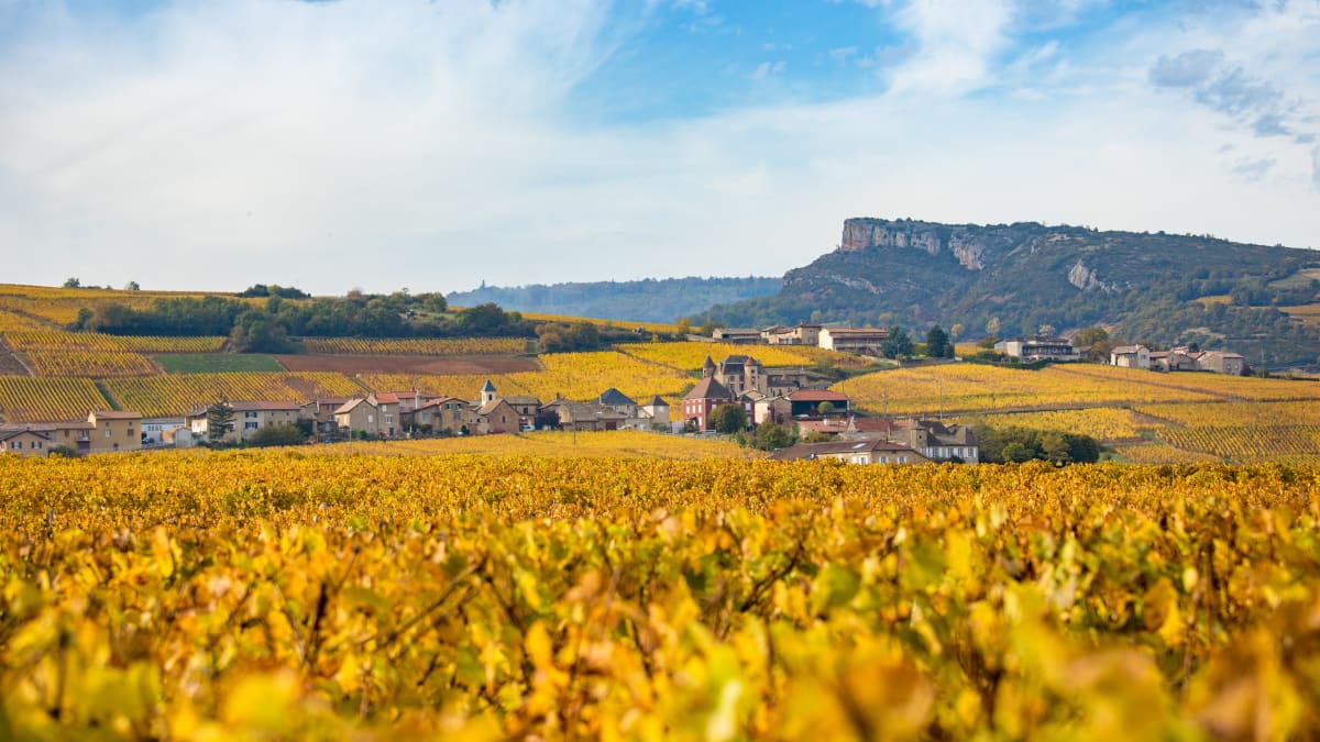 La Bernard Thévenet - Vitry-en-Charollais